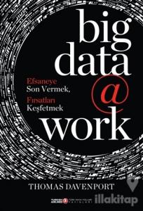 Big Data @ Work (Ciltli)
