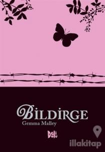 Bildirge