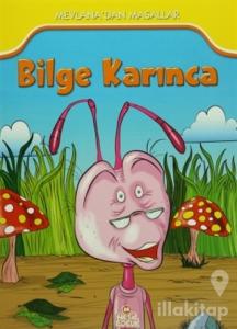 Bilge Karınca