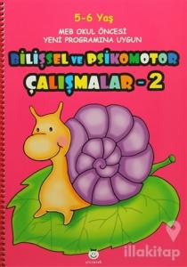Bilişsel ve Psikomotor Çalışmalar - 2