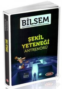 Bilsem Şekil Yeteneği Antrenörü