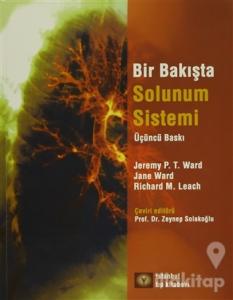 Bir Bakışta Solunum Sistemi