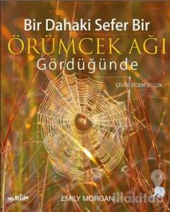 Bir Dahaki Sefer Bir Örümcek Ağı Gördüğünde