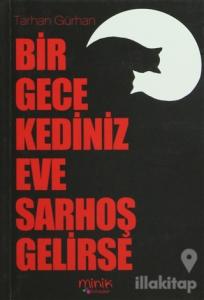 Bir Gece Kediniz Eve Sarhoş Gelirse