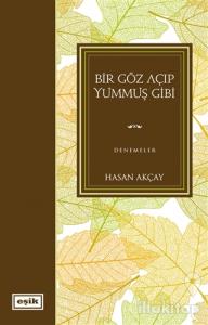 Bir Göz Açıp Yummuş Gibi