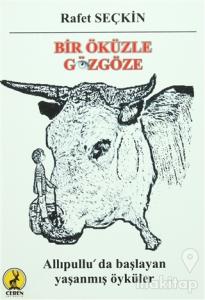 Bir Öküzle Gözgöze