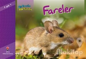 Bir Zamanlar Korkardım - Fareler