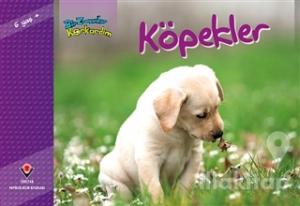 Bir Zamanlar Korkardım - Köpekler