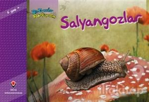 Bir Zamanlar Korkardım - Salyangozlar