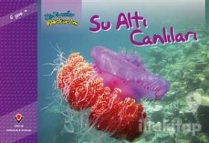 Bir Zamanlar Korkardım - Su Altı Canlıları