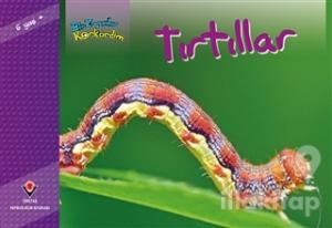 Bir Zamanlar Korkardım - Tırtıllar