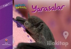 Bir Zamanlar Korkardım - Yarasalar