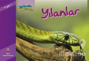 Bir Zamanlar Korkardım - Yılanlar