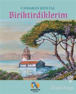 Biriktirdiklerim