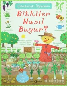 Bitkiler Nasıl Büyür? - Çıkartmayla Öğrenelim