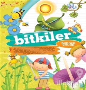 Bitkiler