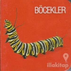 Böcekler (Ciltli)