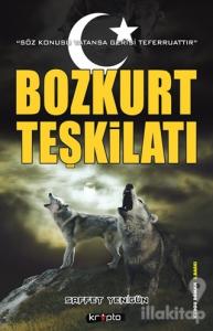Bozkurt Teşkilatı