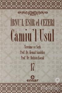 Camiu'l-Usul Cilt 17 (Ciltli)