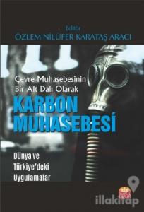 Çevre Muhasebesinin Bir Alt Dalı Olarak Karbon Muhasebesi