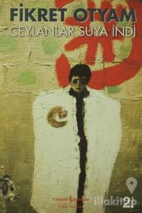 Ceylanlar Suya İndi