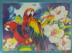 Çiçekler ve Papağanlar Puzzle (1000 Parça)