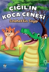 Çığıl'ın Koca Çenesi