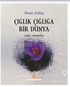 Çığlık Çığlığa Bir Dünya