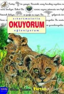 Çıkartmalarla Okuyorum Eğleniyorum - Aslan Yavrusu Tortop