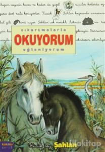 Çıkartmalarla Okuyorum Eğleniyorum -Küçük Tay Şahlan
