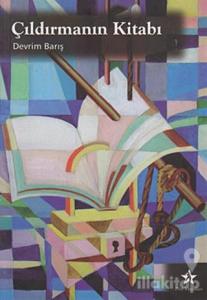 Çıldırmanın Kitabı