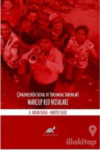 Çingenelerin Sosyal ve Toplumsal Sorunları