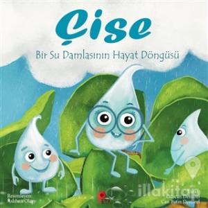 Çise: Bir Su Damlasının Hayat Döngüsü