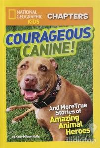 Courageous Canine!
