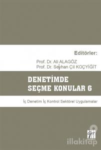Denetimde Seçme Konular 6