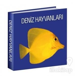 Deniz Hayvanları (Ciltli)