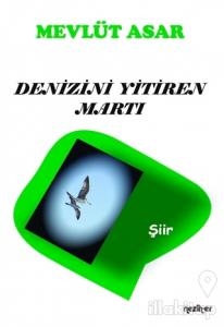 Denizini Yitiren Martı