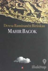 Dewsa Ramüsanen Birüskan