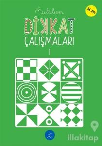Dikkat Çalışmaları - 1