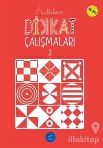 Dikkat Çalışmaları - 2