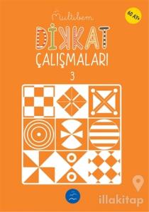 Dikkat Çalışmaları - 3