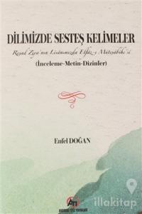 Dilimizde Sesteş Kelimeler