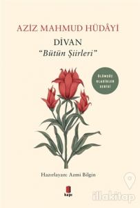 Divan - "Bütün Şiirleri"