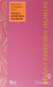 Divan - ı Kebir'den Seçmeler