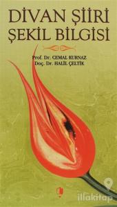 Divan Şiiri Şekil Bilgisi