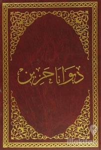 Diwana Hezin (Ciltli)