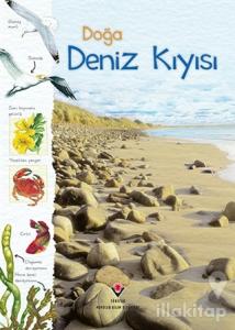 Doğa: Deniz Kıyısı (Ciltli)