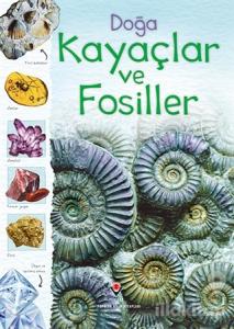 Doğa: Kayaçlar ve Fosiller