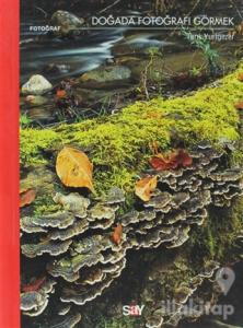 Doğada Fotoğrafı Görmek