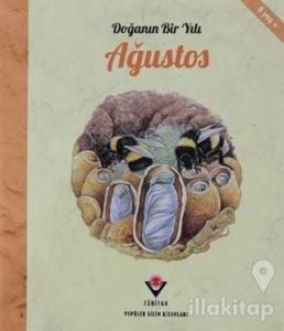 Doğanın Bir Yılı - Ağustos